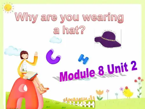 新外研版六年级英语下册M8U2Why are you wearing a hat 课件.ppt