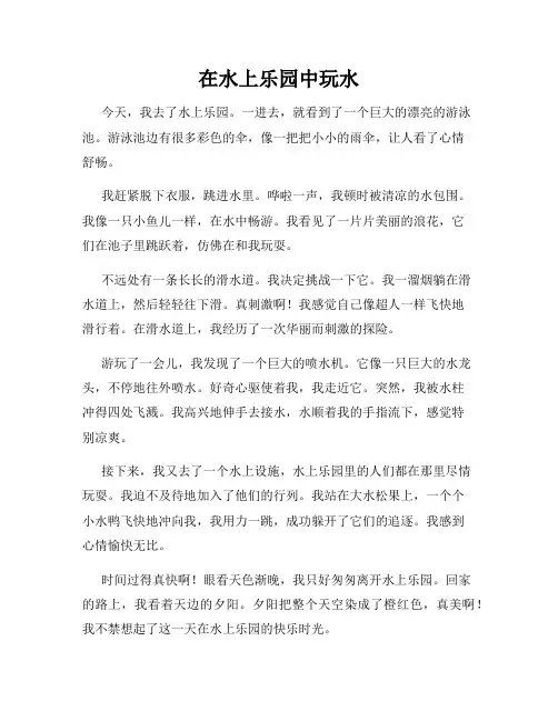 小学三年级作文这儿真美范文在水上乐园中玩水