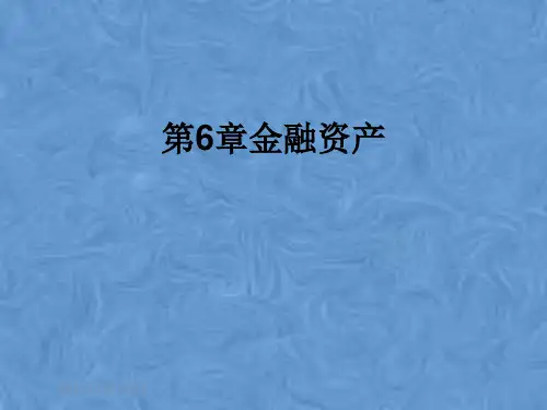 第6章金融资产