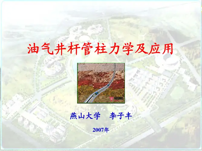 油气井杆管柱力学及应用-2007