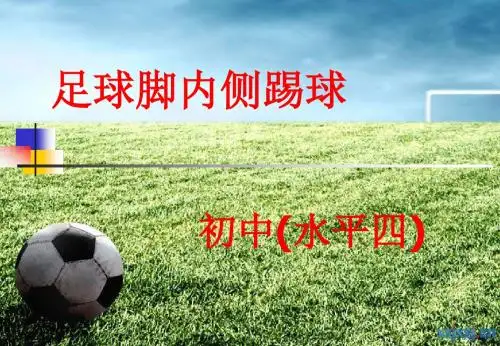 说课--脚内侧踢球-ppt