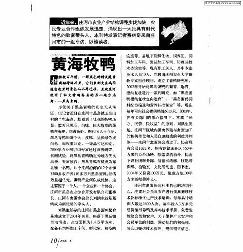 黄海牧鸭