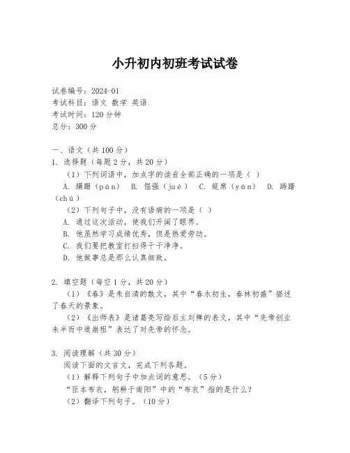 小升初内初班考试试卷