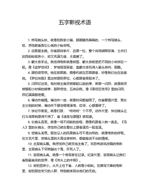 五字影视术语