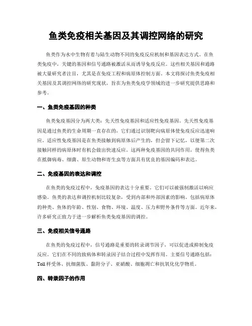 鱼类免疫相关基因及其调控网络的研究