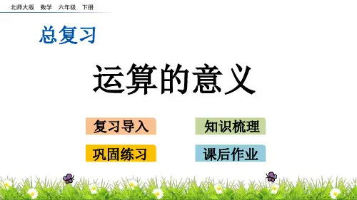 北师大版小学6年级数学下册总复习数与代数(运算的意义+计算与应用(1~3))PPT教学课件