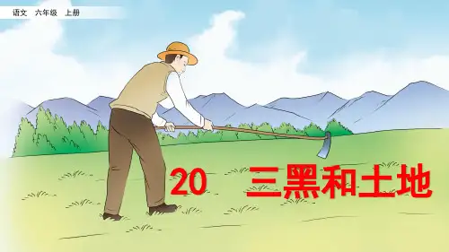 统编版六年级语文上册第20课《三黑和土地》精美课件
