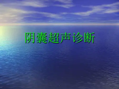 阴囊超声诊断课件PPT课件