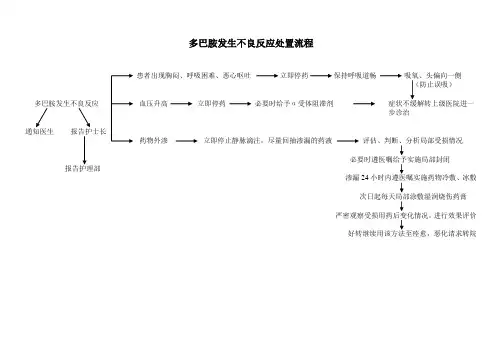 多巴胺发生不良反应处置流程
