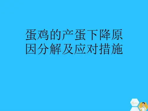 蛋鸡的产蛋下降原因分解及应对措施常用文档
