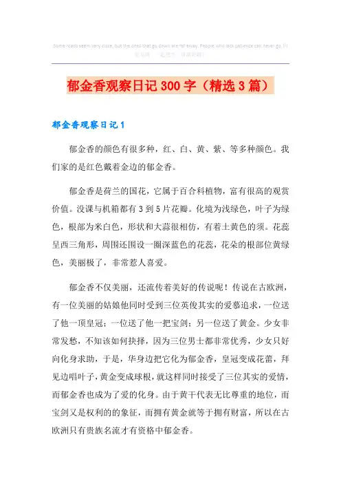 郁金香观察日记300字(精选3篇)