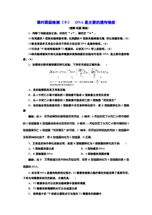人教版高中生物必修2课时跟踪检测(十)DNA是主要的遗传物质含答案