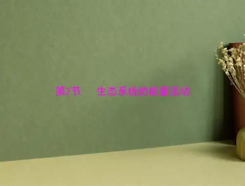 生态系统的能量流动课件PPT