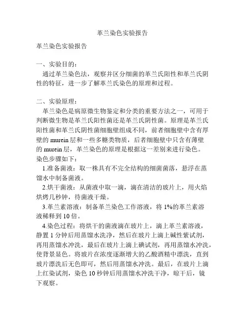 革兰染色实验报告