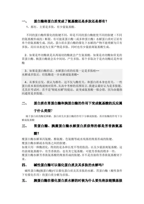 蛋白酶