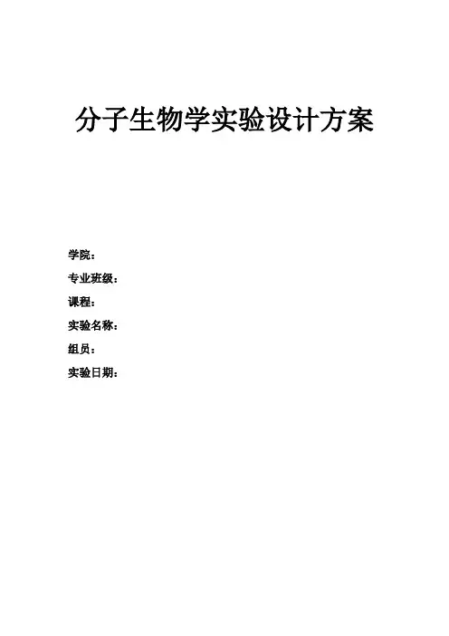 分子实验