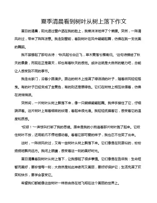 夏季清晨看到树叶从树上落下作文
