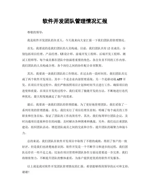 软件开发团队管理情况汇报