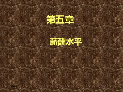 薪酬管理(第四版)刘昕-第5章-薪酬水平