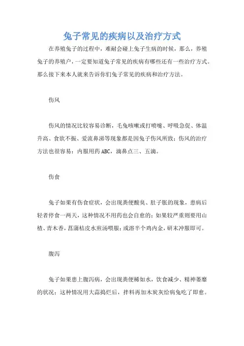 兔子常见的疾病以及治疗方式