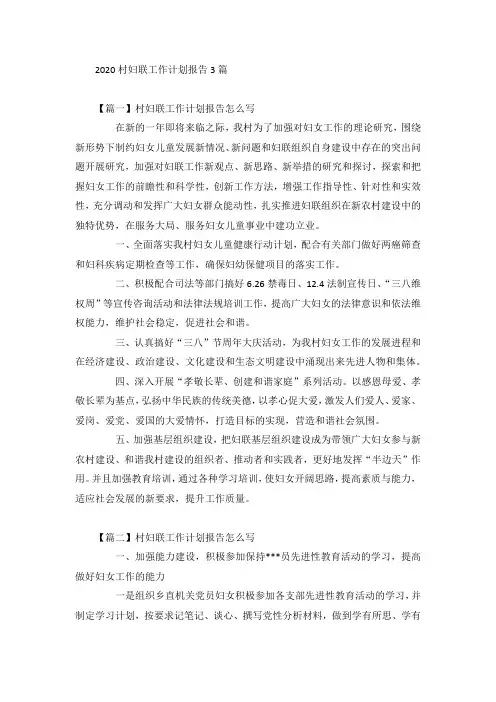 2020村妇联工作计划报告3篇