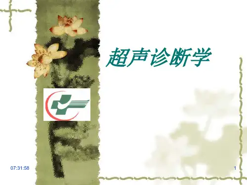 超声医学总论