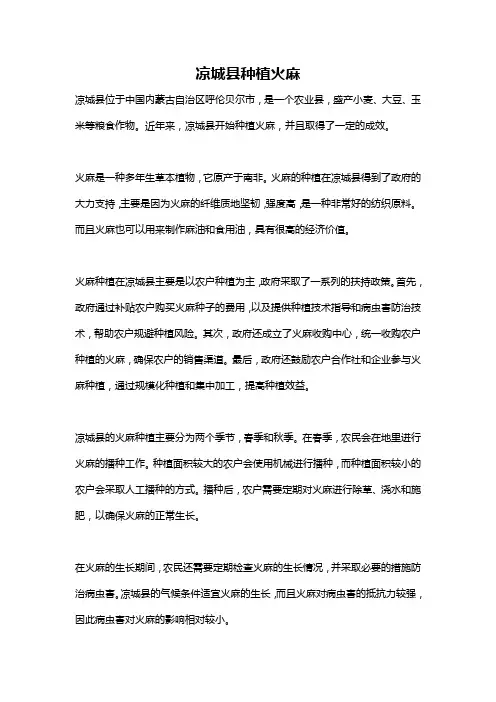 凉城县种植火麻