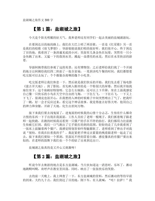 盐湖城之旅作文300字