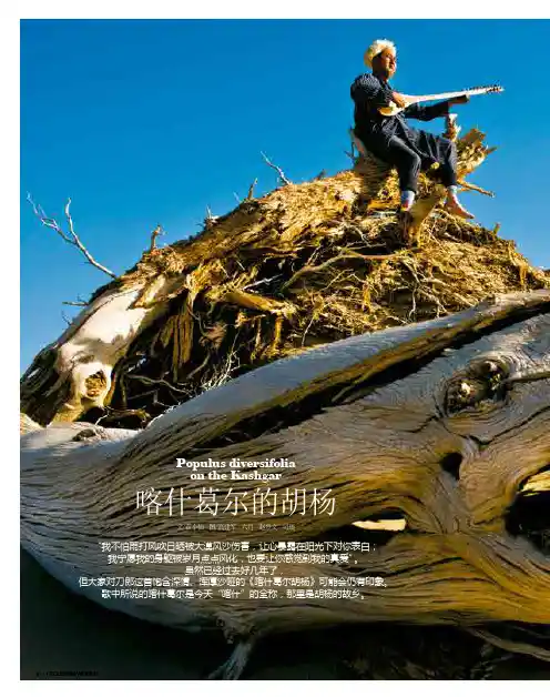 喀什葛尔的胡杨