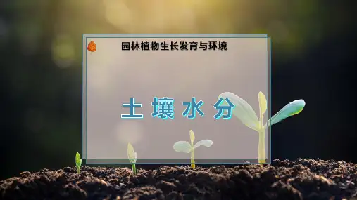 土 壤 水 分