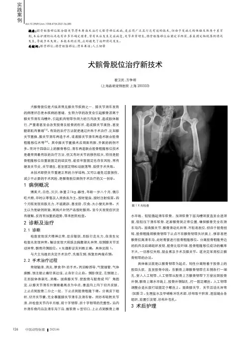 犬髌骨脱位治疗新技术