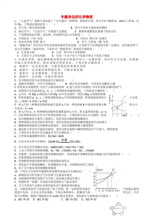 山东省临沂市2017年中考化学二轮专题复习专题身边的化学物质二无答案