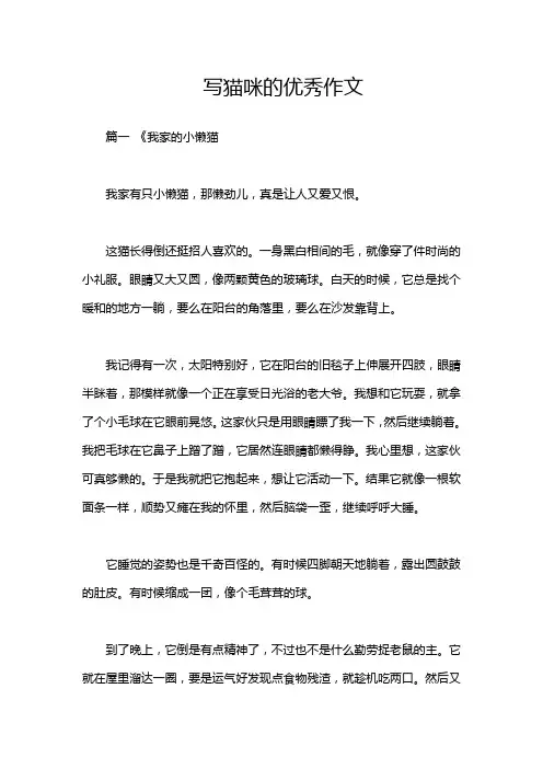 写猫咪的优秀作文