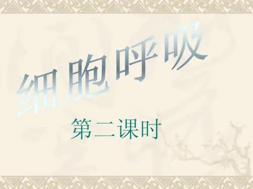 细胞呼吸第二课时