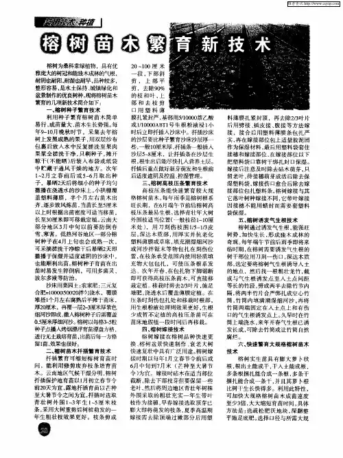 榕树苗木繁育新技术