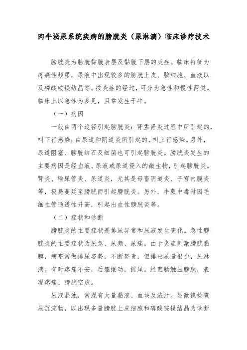 肉牛泌尿系统疾病的膀胱炎(尿淋漓)临床诊疗技术
