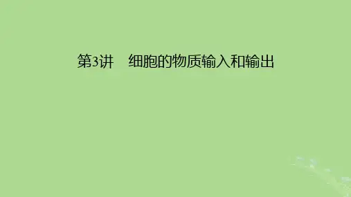 2025版高考生物一轮总复习必修1第2单元细胞的基本结构与物质输入和输出第3讲细胞的物质输入和输出