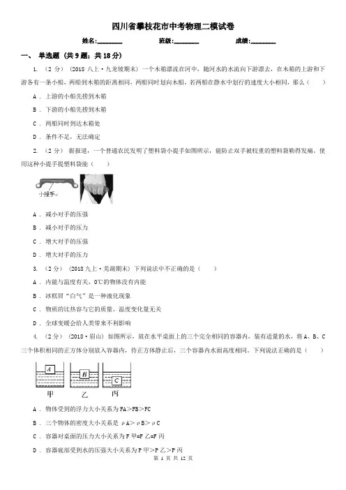 四川省攀枝花市中考物理二模试卷