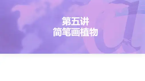 《简笔画》课件——植物+线描