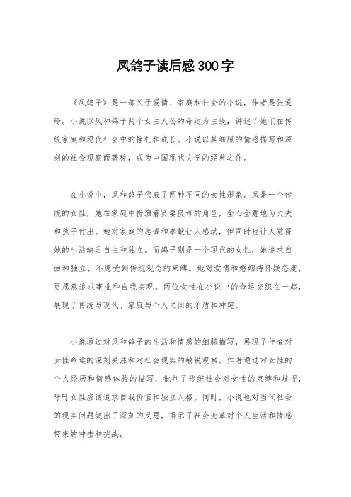 凤鸽子读后感300字