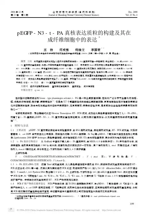 pEGFP_N3_t_PA真核表达质粒的构建及其在成纤维细胞中的表达