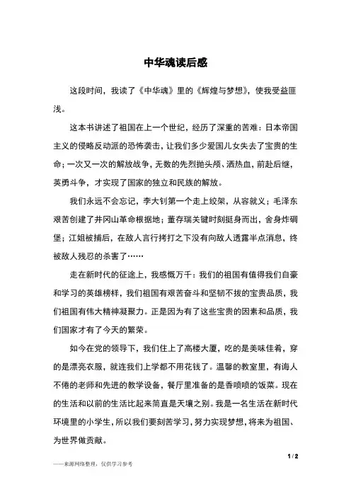 中华魂读后感_读后感