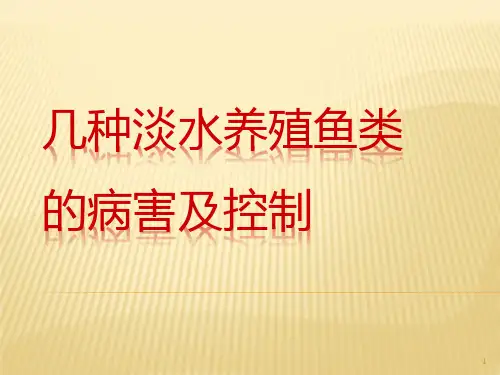 淡水鱼病