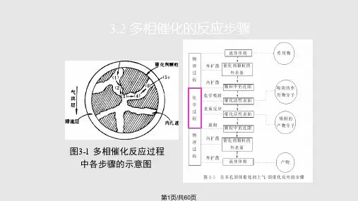 吸附作用与多相催化PPT课件