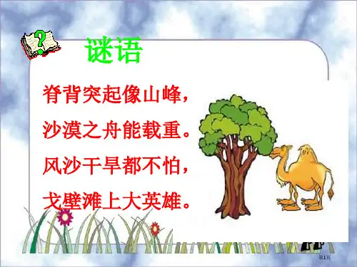 16找骆驼(公开课)PPT市公开课金奖市赛课一等奖课件