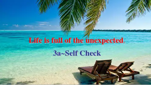 人教版英语九年级全一册Unit 12 Life is full of the unexpected.