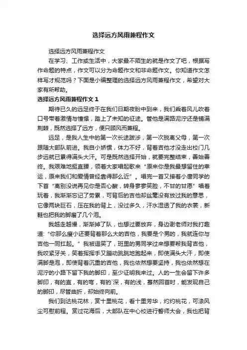 选择远方风雨兼程作文