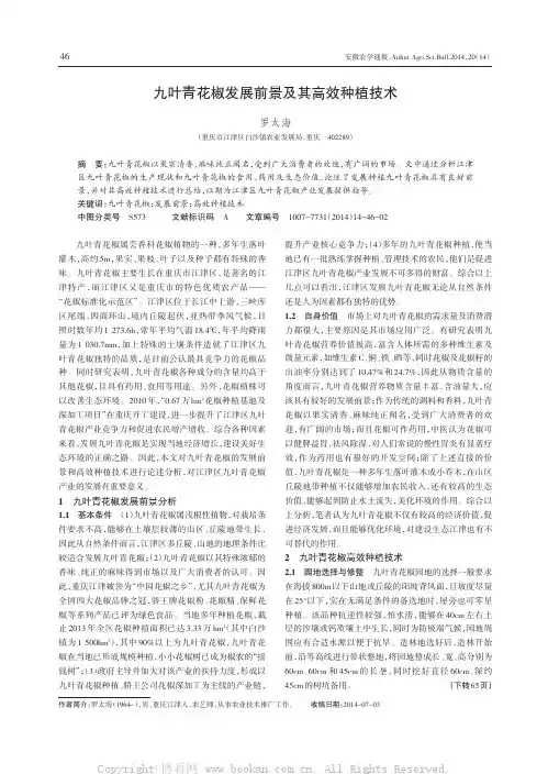 九叶青花椒发展前景及其高效种植技术