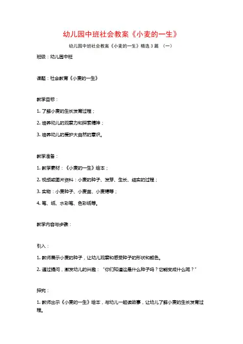 幼儿园中班社会教案《小麦的一生》3篇