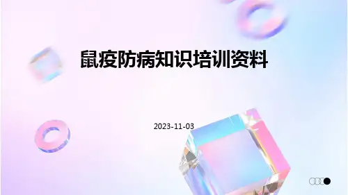 鼠疫防病知识培训资料